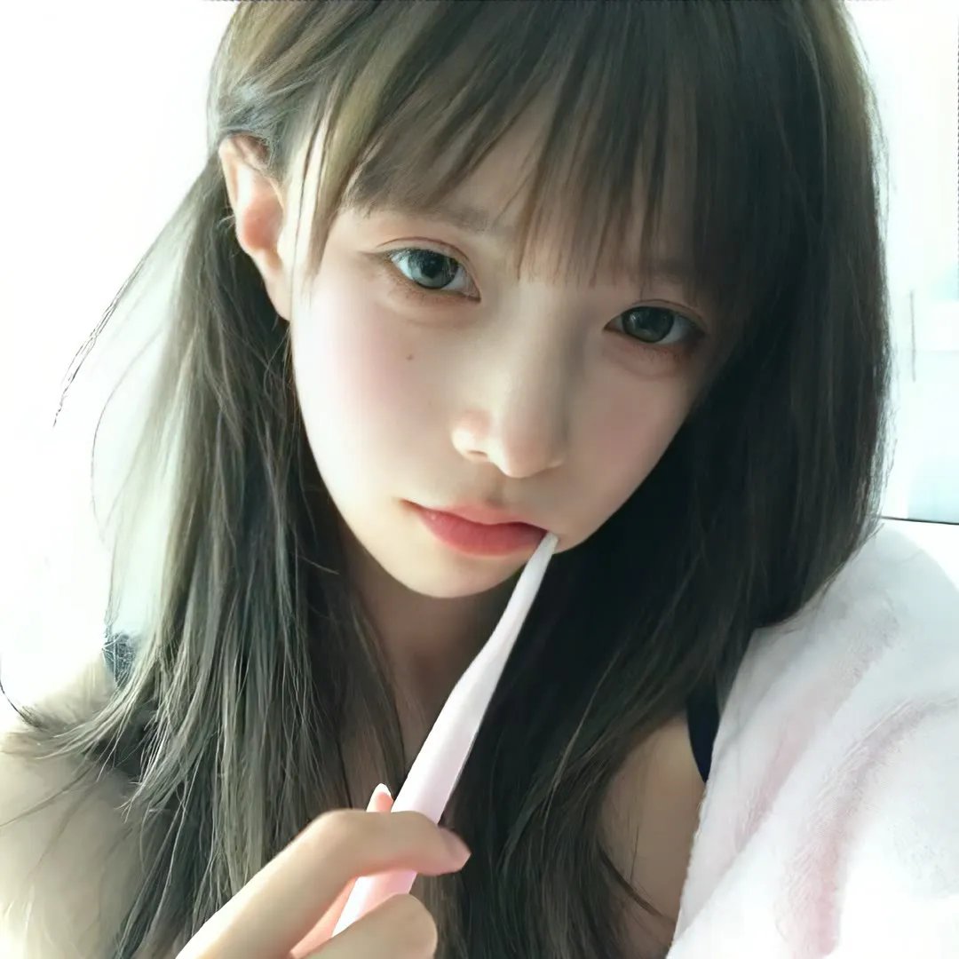 小熊历险记